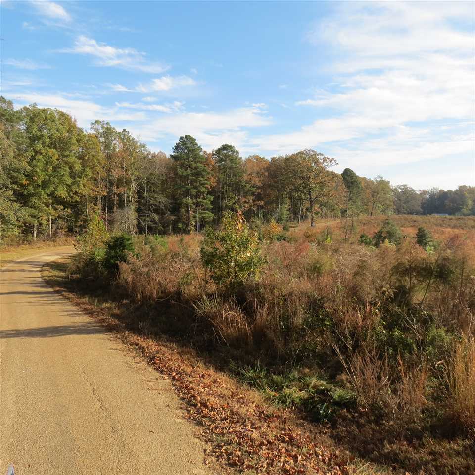 30 acres of vacant land in Cleveland County!!! This property has road frontage on Gum Springs Road. There is a small creek that runs through the property. Timber has been planted approximately 5 years ago. Nice homes on this road, this could be your new home site. Call me today!!