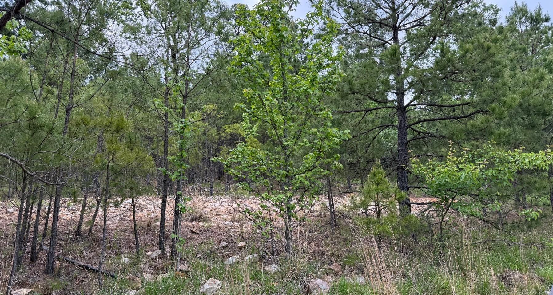 Come build your dream home in Maumelle, very lovely area, with possible river views in winter time. Minimum 2500 sq ft, BOA attached. Maumelle has a lot to offer, golfing, walking/biking trails, a beautiful park with two lakes, community center with pool, a top of the art senior center, tennis fields, pickle ball, play zones and splash pads for kids and more! Bring your own builder if you want. You won't regret it! This is an amazing community! Agents see remarks.