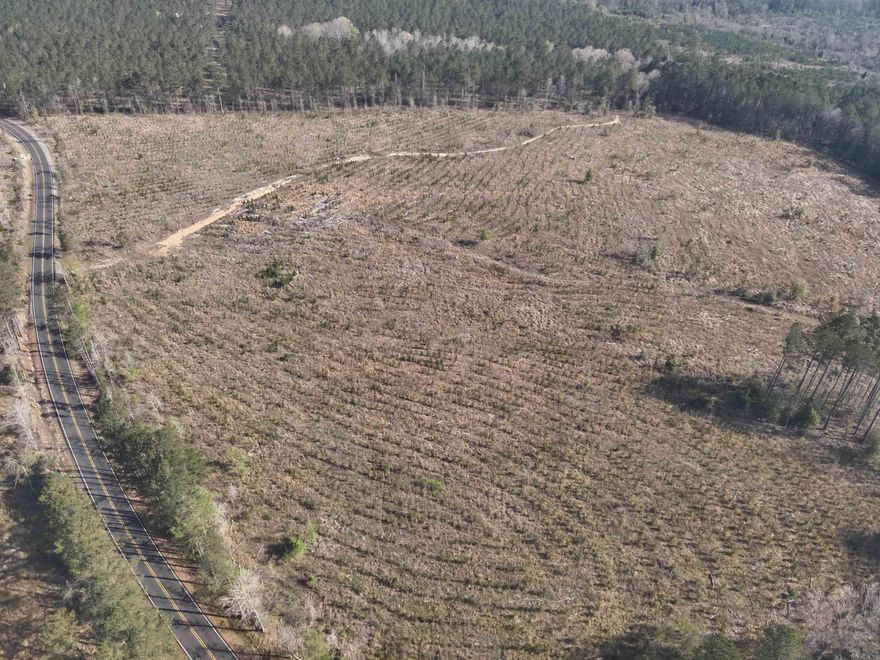 Situated in southwest El Dorado within Union County, Arkansas, the Three Creeks East Tract spans 38 acres and offers an excellent combination of accessibility and versatility. The property features paved county road frontage with utilities nearby and lied within the sought-after Parkers Chapel School District, making it an ideal setting for a future homesite.  The property features a gently rolling landscape that provides both aesthetic appeal and practical usability. Approximately three-year old planted pine establishes an excellent foundation for long-term timber investment, while natural timber stands add diversity and visual character.  In addition to its timber value, the tract offers great potential for pasture conversion, making it suitable for a variety of uses including a small farm, homestead or recreation. The manageable acreage combined with its location and accessibility make this property an ideal opportunity for buyers seeking flexibility and long-term upside in South Arkansas.