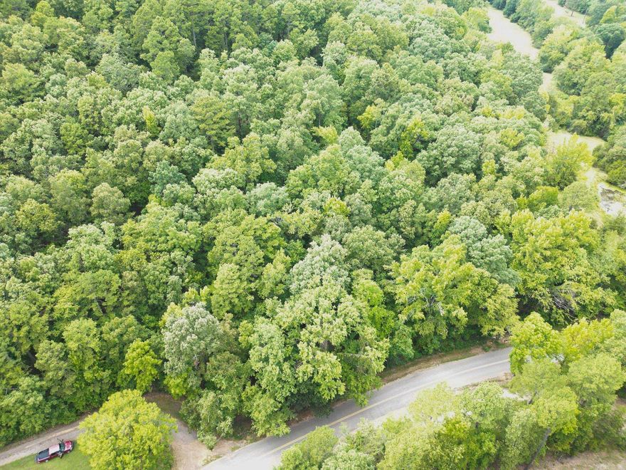 Embrace the beauty of nature with this fantastic 1-acre vacant lot, perfectly located just a stone's throw away from the popular Long Pool swimming recreation area and the iconic Dover Lights. This prime piece of land offers an ideal opportunity for outdoor enthusiasts and those looking to create their own private retreat. This 1-acre lot is a rare find, offering the perfect blend of recreation and tranquility. Whether you're looking to build a cozy cabin, a family retreat, or an investment property, this location is sure to inspire. Don't miss out on the chance to own a piece of this picturesque area! Contact us today for more details or to schedule a visit.