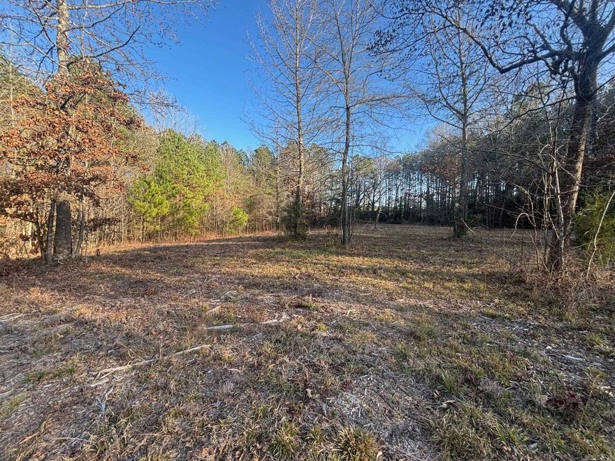 Absolutely gorgeous piece of land with no restrictions!**there is one water meter present*private and peaceful*survey and several other documents are under the document tab*natural gas at the road*(if a developer is interested, the land perc for several residents but will have to upgrade the water main)