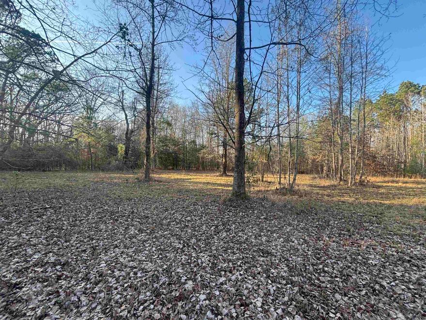 Absolutely gorgeous piece of land with no restrictions!**there is one water meter present*private and peaceful*survey and several other documents are under the document tab*natural gas at the road*(if a developer is interested, the land perc for several residents but will have to upgrade the water main)