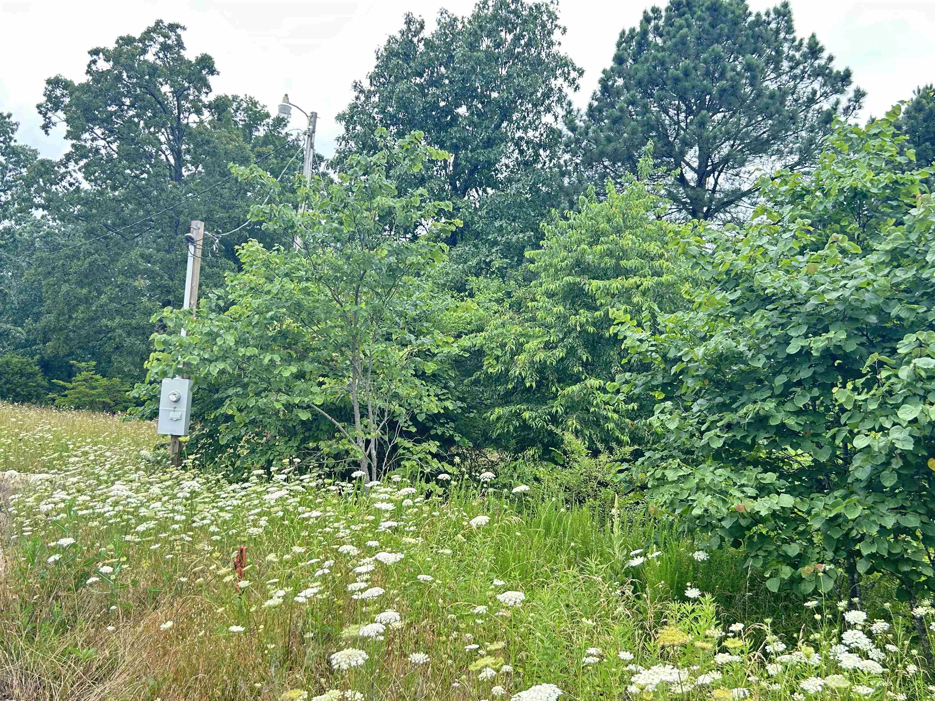 Metes & Bounds - Commercial Sale