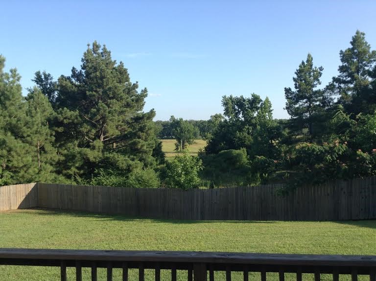 Indian Springs - Residential