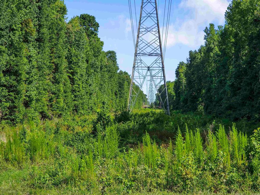 ATTENTION HUNTERS! Check out this +/- 140 acres in White Hall READY FOR YOU! Located right outside the Arsenal entrance, this is PRIME hunting ground with tons of wildlife. Call today for more information and to schedule your appointment to see this beautiful tract of land.