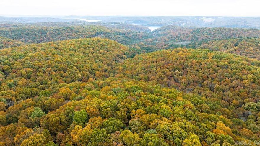 This remarkable tract offers multiple options for any buyer. With approximately ¼ mile frontage of paved Highway 311, the access is easy and high quality. Electricity is accessible through a portion of the land. This tract has some established pasture, an excellent wildlife population, and is also loaded with marketable hardwood timber. Hay has been harvested for years off the lush meadow. Several ATV/UTV trails will assist in navigating the beautiful rolling terrain. Numerous building sites are sprinkled throughout for a potential short-term rental, vacation home, or dream house. Table Rock Lake is just a few minutes down the paved county road, and there is access to a public boat launch near Cricket Creek Marina, Long Creek Marina, and Big Cedar Lodge. The area is prime for investments and developments alike, with the renowned Table Rock Lake right down the road, a quick drive from the famous Branson, MO, and many other remarkable area attractions. This region is known for its tourist attractions and recreational destinations that fit anyone. There are no restrictions, and additional adjoining land is available. Call today for your private showing.