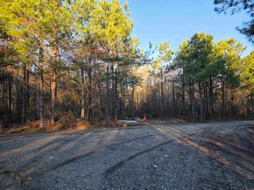 If you are looking for peaceful country living, this lot is it.  It is located in the Woodlawn Community of Cleveland County on a cul-de-sac road and is perfect for building your new home. Utilities are present at the road.  It is buyer's responsibility to do a perc test. Give me a call today.