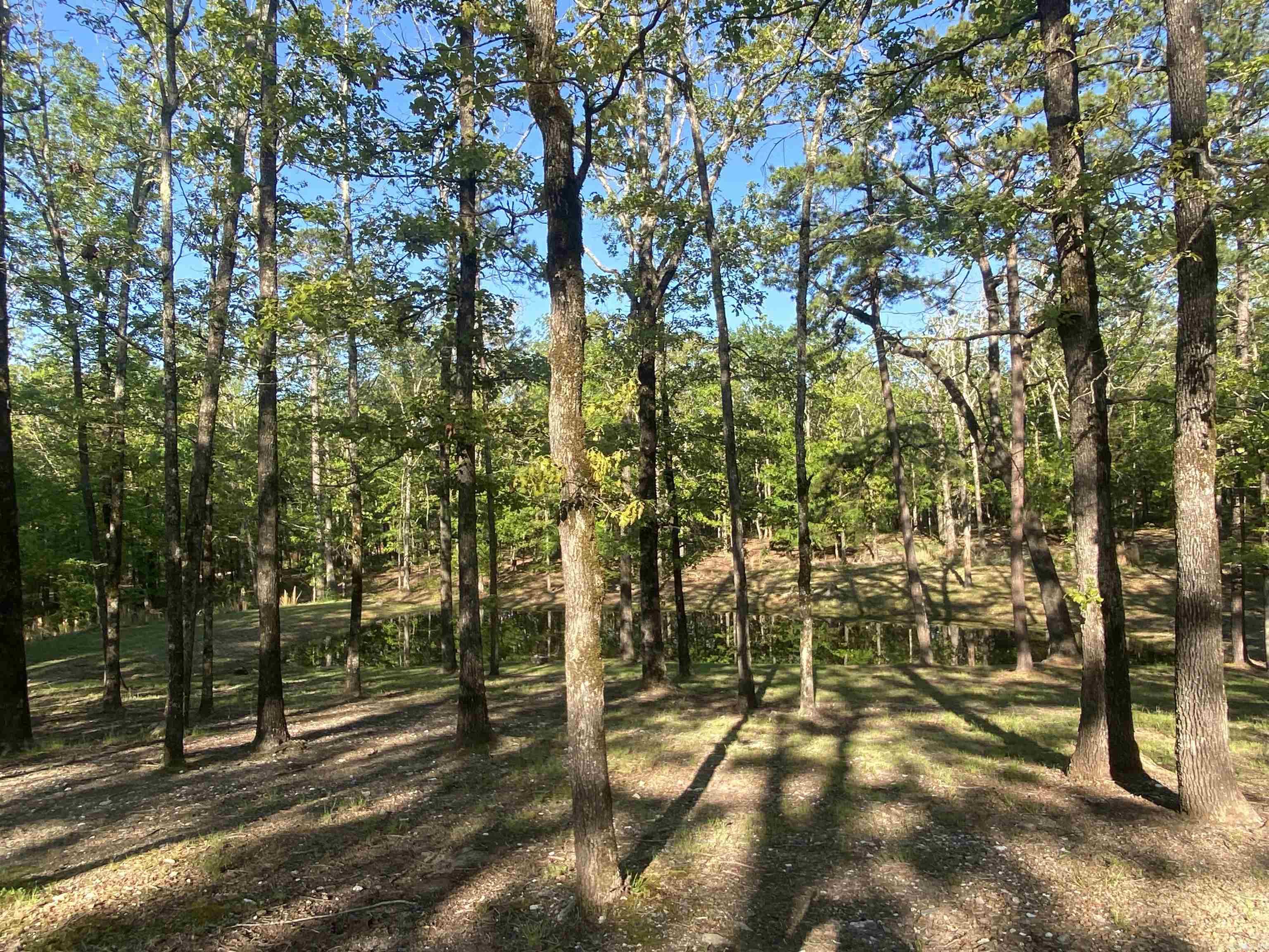 Little Fir - Residential