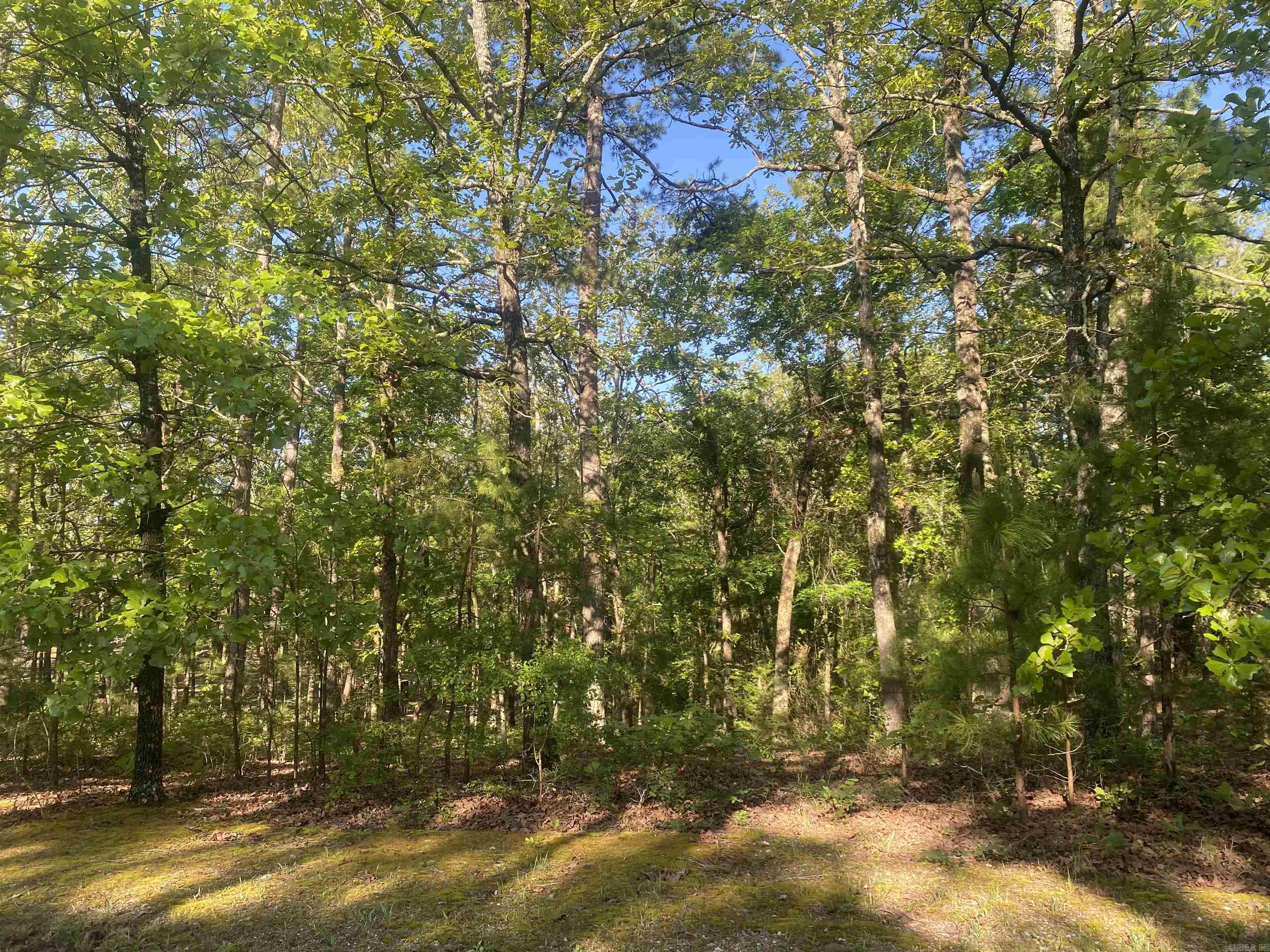 Little Fir - Residential