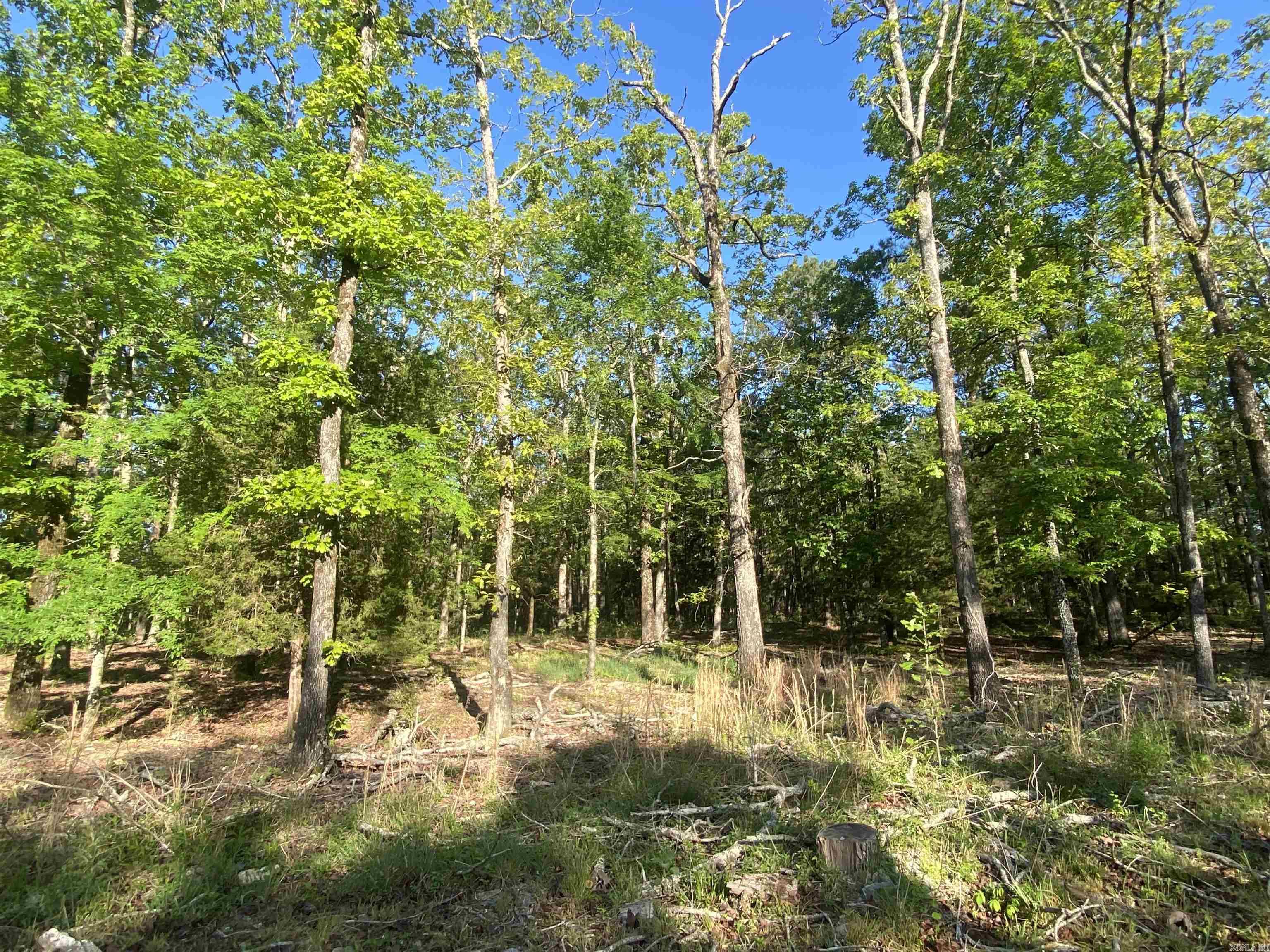 Little Fir - Residential