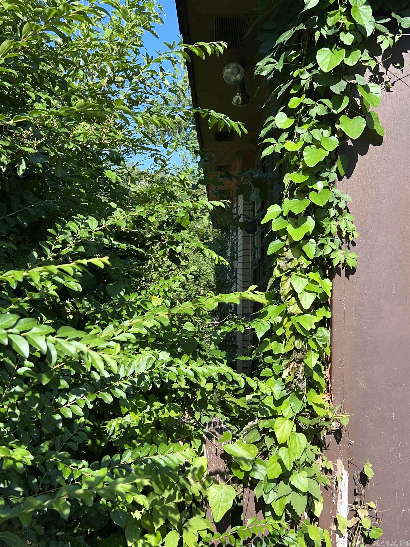 HAMILTON & BRACK - Residential