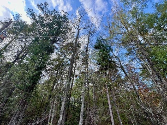 This is a great opportunity to buy 10 acres (+/-) in White Hall School District. Water, electric, and Natural Gas utilities are at the road with lots of timber for hunting or harvesting to build your new home. The property is backed up against Weyerhaeuser timber holdings with paved road frontage and offers many possibilities. There is an additional 10 (+/-) acre property that runs parallel to it with paved road frontage listed for sale, providing a fantastic opportunity to purchase 20 acres (+/_) with Weyerhaeuser and Potlatch Timber Forest Holdings directly behind it. There is not a survey or timber appraisal available and the acreage amount is based upon Jefferson County Tax Data Records.