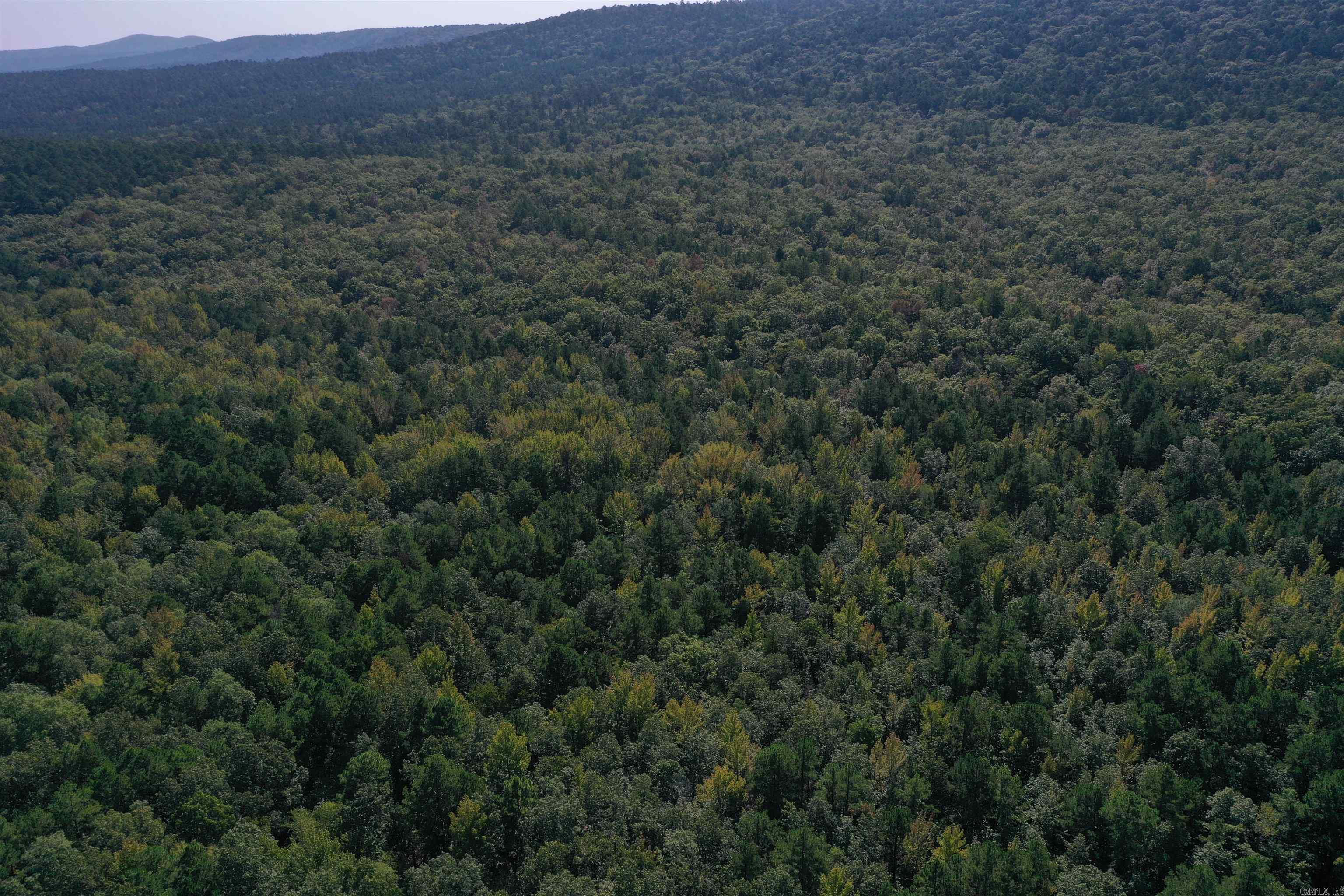 Located in the foothills of the Ouachita Mountains just south of Bluffton, this 160-acre timber tract is rare and unique, boasting all of its boundary with the Ouachita National Forest. The entire two-mile-long boundary of this property shares no private land neighbors, only adjoining hundreds of thousands of acres of Ouachita National Forest. Forest Service Road 795, a year-round gravel road accesses the property, and an ATV trail across one side of the property provides access for hunting and exploration. Deer and turkey are abundant in the area, and this property is no exception. Varying topography along with a mixture of dense younger timber and mature acorn producing oaks make this property a hunterās dream. This tract is ready for the management and planning that will make it flourish as one of the most unique hunting properties in the area. If 160 acres isnāt enough room for you to explore, youāre located at the gateway to hundreds of thousands of public acres with a multitude of hunting, fishing, hiking, and off-roading opportunities. The Fourche La Fave River is nearby, and the Muddy Creek Wildlife refuge is just a short drive also.