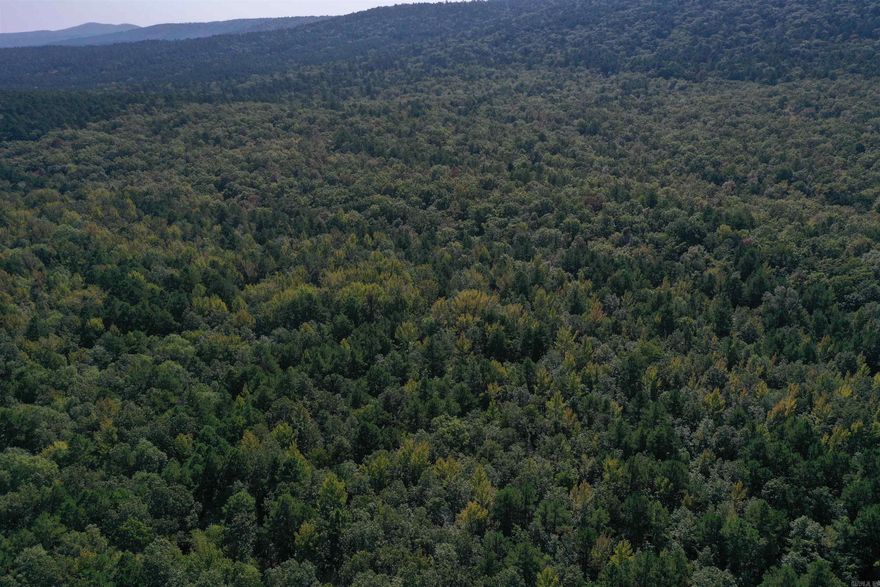 Located in the foothills of the Ouachita Mountains just south of Bluffton, this 160-acre timber tract is rare and unique, boasting all of its boundary with the Ouachita National Forest. The entire two-mile-long boundary of this property shares no private land neighbors, only adjoining hundreds of thousands of acres of Ouachita National Forest. Forest Service Road 795, a year-round gravel road accesses the property, and an ATV trail across one side of the property provides access for hunting and exploration. Deer and turkey are abundant in the area, and this property is no exception. Varying topography along with a mixture of dense younger timber and mature acorn producing oaks make this property a hunter’s dream. This tract is ready for the management and planning that will make it flourish as one of the most unique hunting properties in the area. If 160 acres isn’t enough room for you to explore, you’re located at the gateway to hundreds of thousands of public acres with a multitude of hunting, fishing, hiking, and off-roading opportunities. The Fourche La Fave River is nearby, and the Muddy Creek Wildlife refuge is just a short drive also.