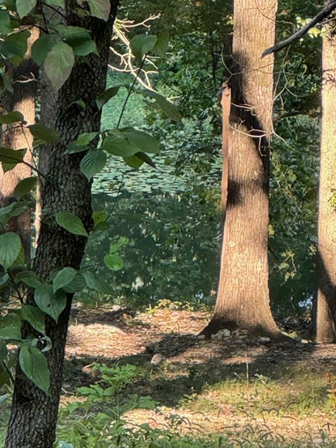 Sherwood Forrest - Land