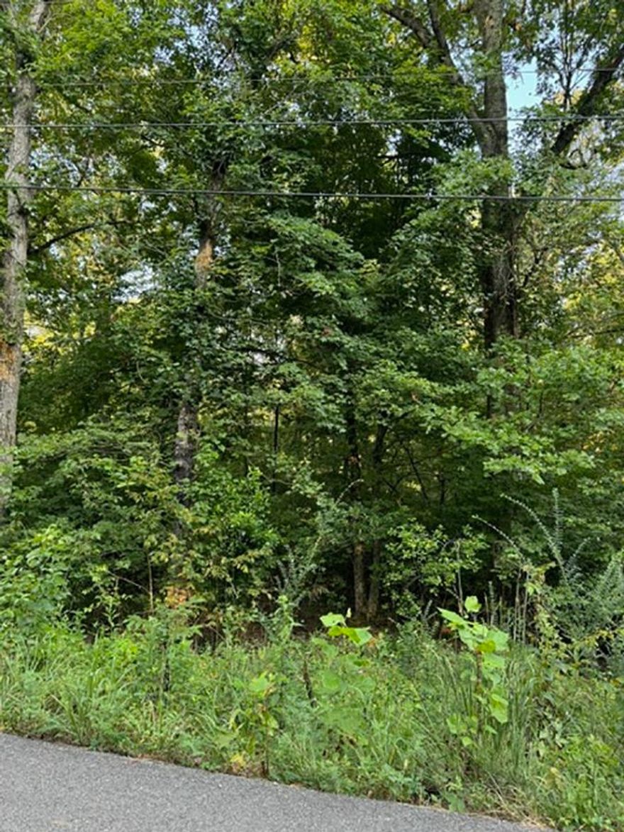 Two undeveloped side by side lots on lake Sherwood