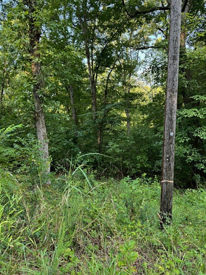 Sherwood Forrest - Land