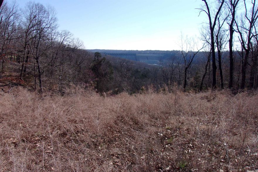 Amazing view of Bull Shoals Dam overlooking the White river. Partially cleared, some utilities available. 3.5 AC M/L $10,000