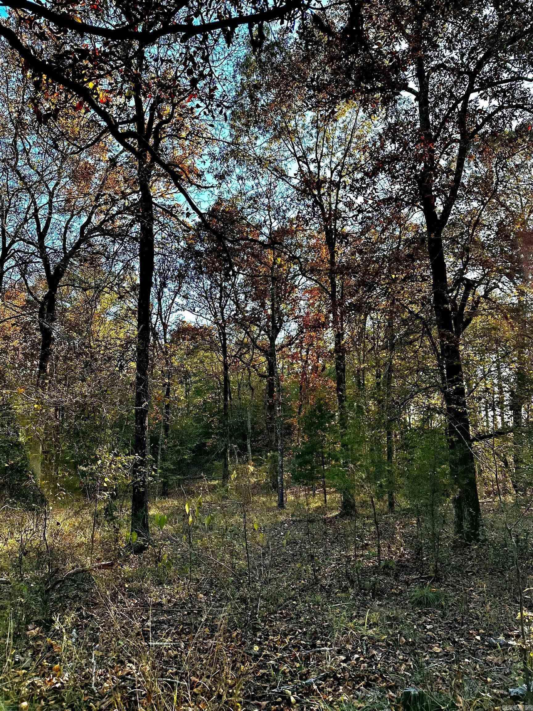 This stunning property boasts 5 acres m/l of wooded land including large pine trees, complete with a tranquil creek running through the grounds. With light restrictions and multiple building sites available, the possibilities are endless for creating your dream home or vacation retreat. Just a few minutes from the charming town of Cove, you can enjoy the peace and serenity of country living while still being conveniently close to all amenities. Whether you're looking for a secluded hideaway or a place to build your forever home, this property offers endless potential. SEE AGENT REMARKS