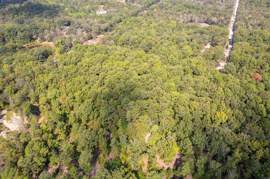 Discover 21.57 acres of stunning wooded land featuring mature timber and abundant natural beauty—perfect for outdoor enthusiasts and love of wildlife or those seeking privacy and seclusion without sacrificing convenience. Ideally located just 20 minutes from both Little Rock and Benton/Bryant, this property offers the best of peaceful country living with quick access to city amenities. Situated within the desirable Saline County School District, the land will divide into two approximately 10.79-acre tracts, providing flexibility for building, investment, or multi-family use. City water and electricity have already been extended to both parcels, saving time and expense for future development. A newly graveled private driveway offers easy access throughout the property. With utilities in place, the only remaining step is septic installation when you’re ready to build your dream home or private retreat. Don’t miss this rare opportunity to own a ready-to-build acreage in a prime location—  SEE ARIAL VIDEO:  Copy Link in to URL to view video.   https://www.dropbox.com/scl/fi/zxjuahp6aqjavcchei7lm/15203-Fast-Lane.mov?rlkey=wxu9oealkz1j6142cnb3sdyvw&st=4o77ugym&dl=0