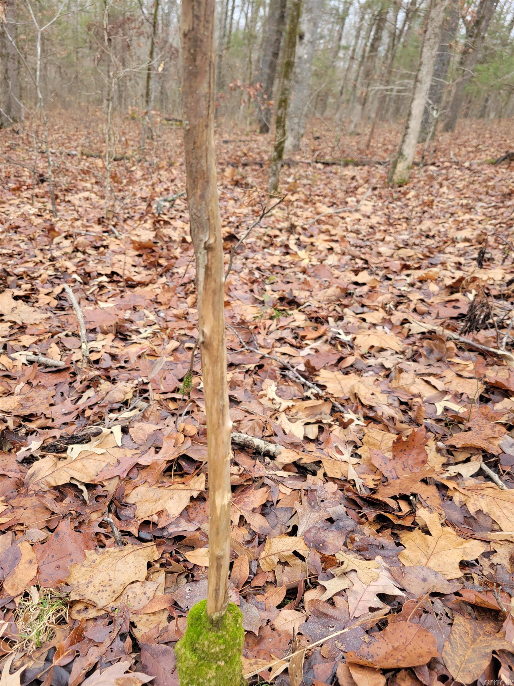 Metes & Bounds - Land