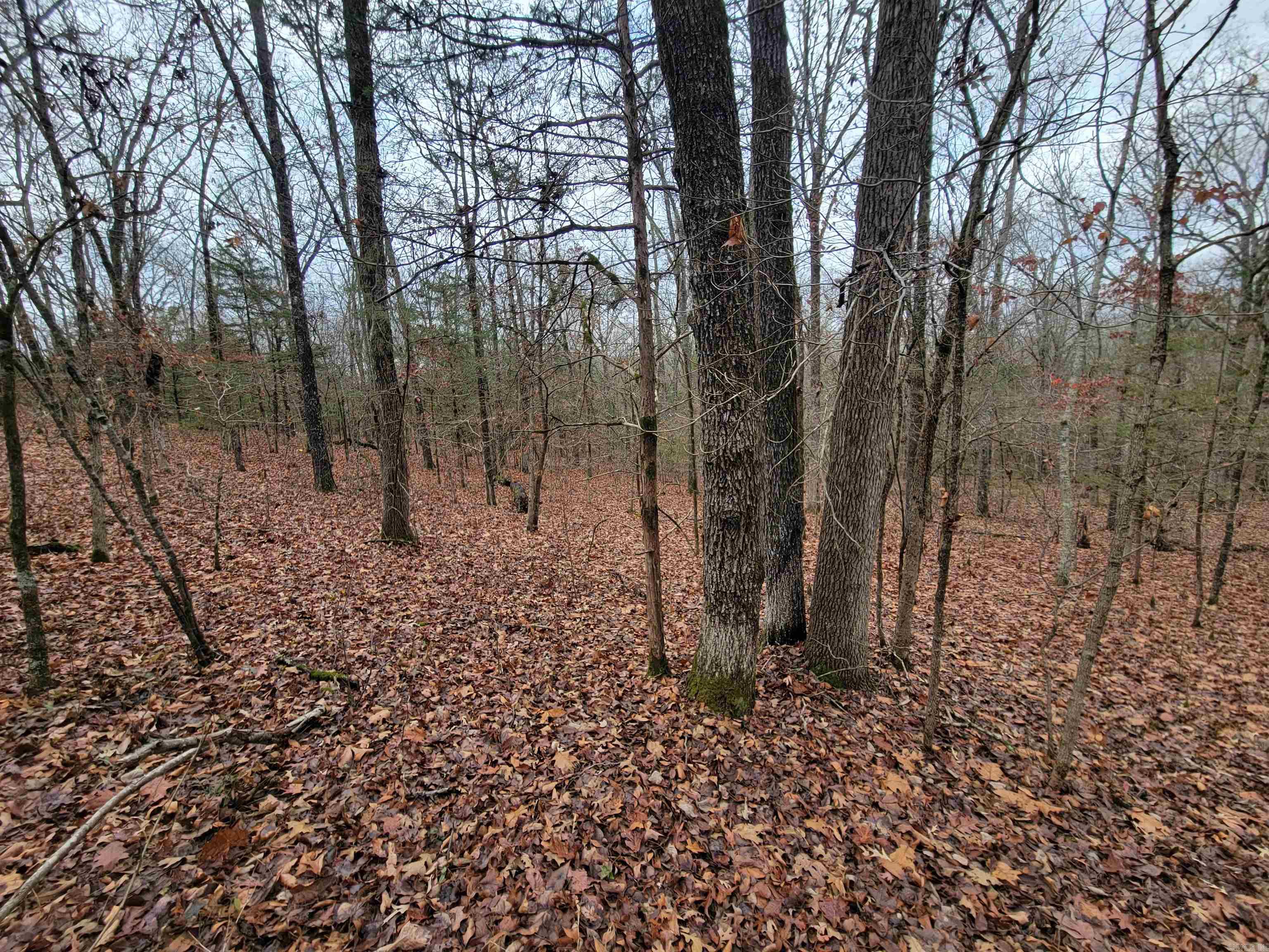 Metes & Bounds - Land