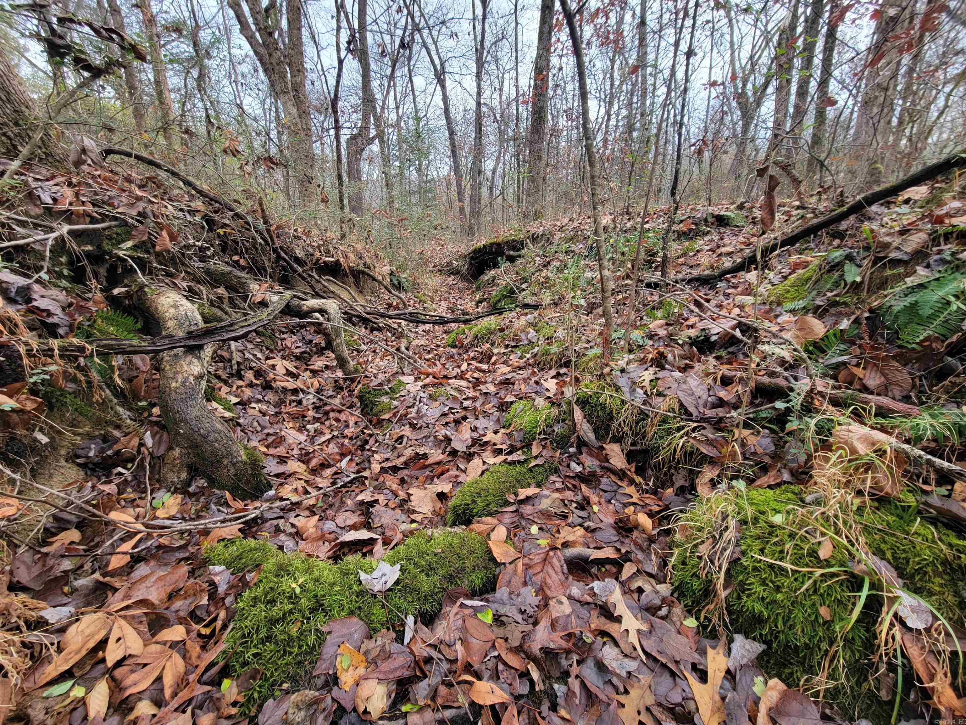 Metes & Bounds - Land