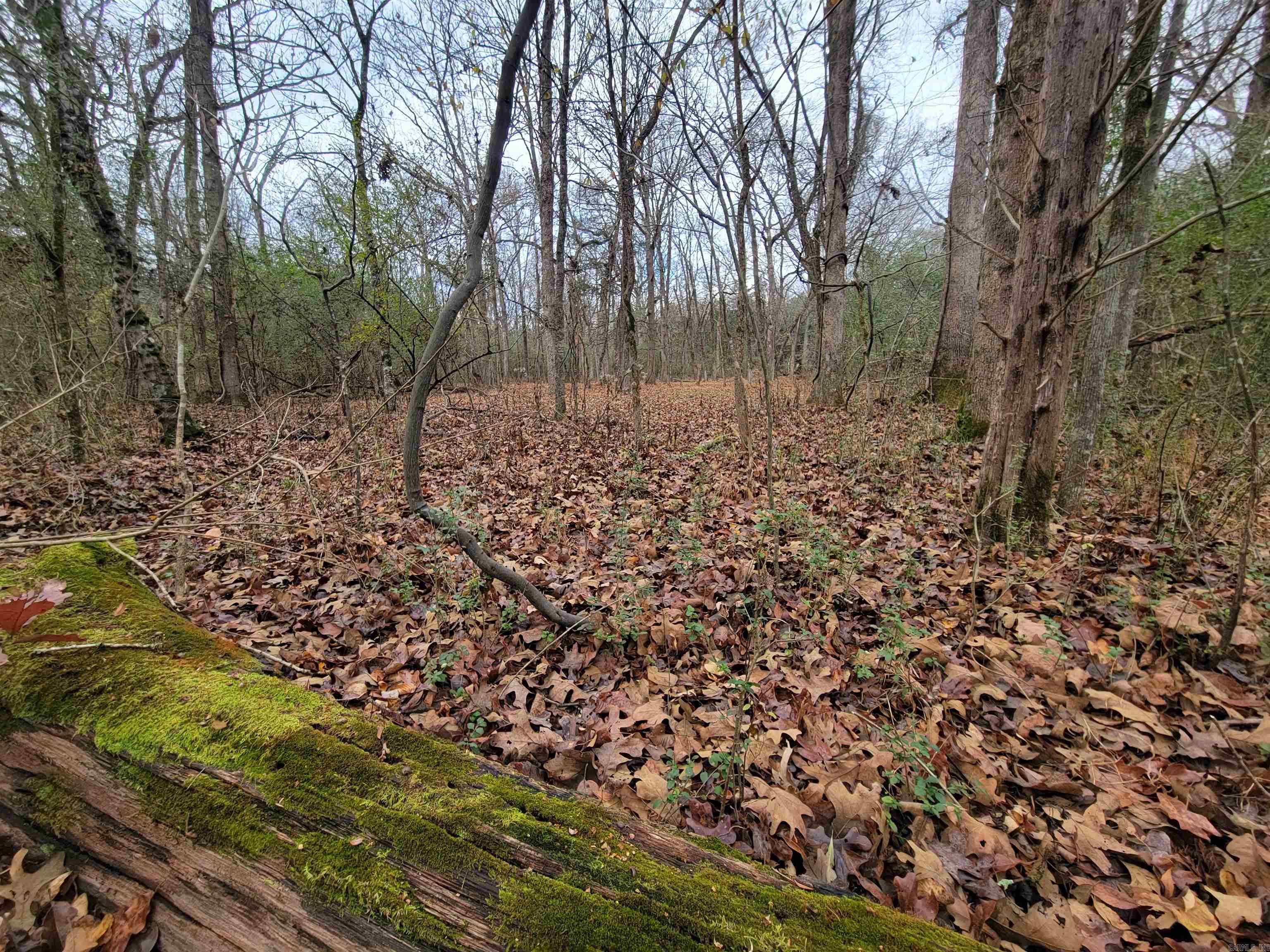 Metes & Bounds - Land