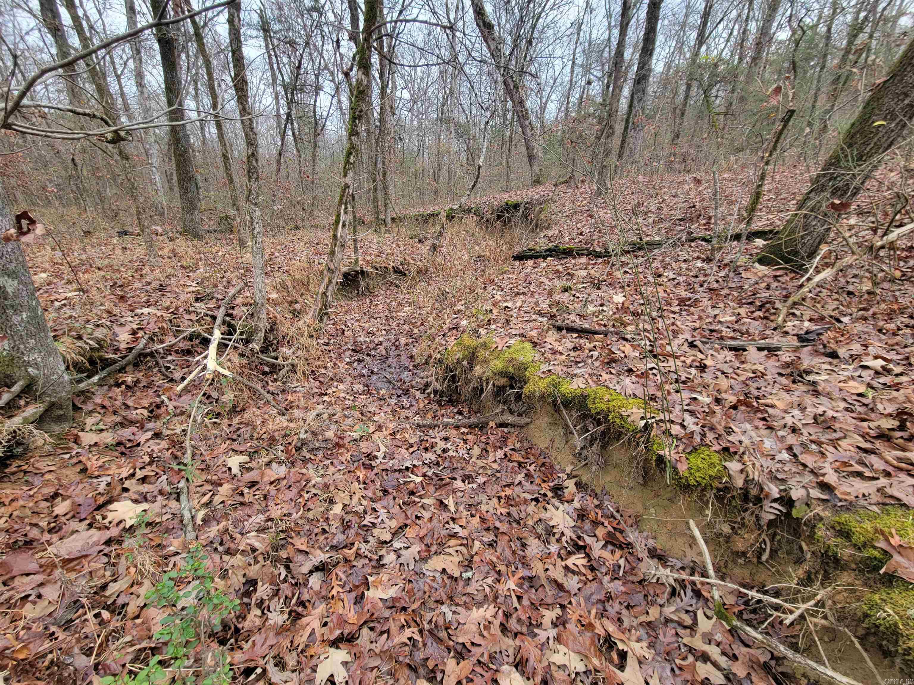 Metes & Bounds - Land