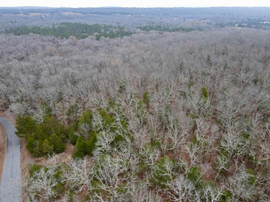 Beautiful 13.86-acre wooded tract featuring mature trees, a wet weather creek, and abundant wildlife. The land offers both level and sloped areas—ideal for building that dream home, recreation, or hunting. Power and water are available at the road.  Located just minutes from Woolly Hollow State Park, you’ll enjoy easy access to hiking, fishing, and even more outdoor adventure. This property is the perfect blend of privacy, beauty, and possibility. Agents- See Remarks