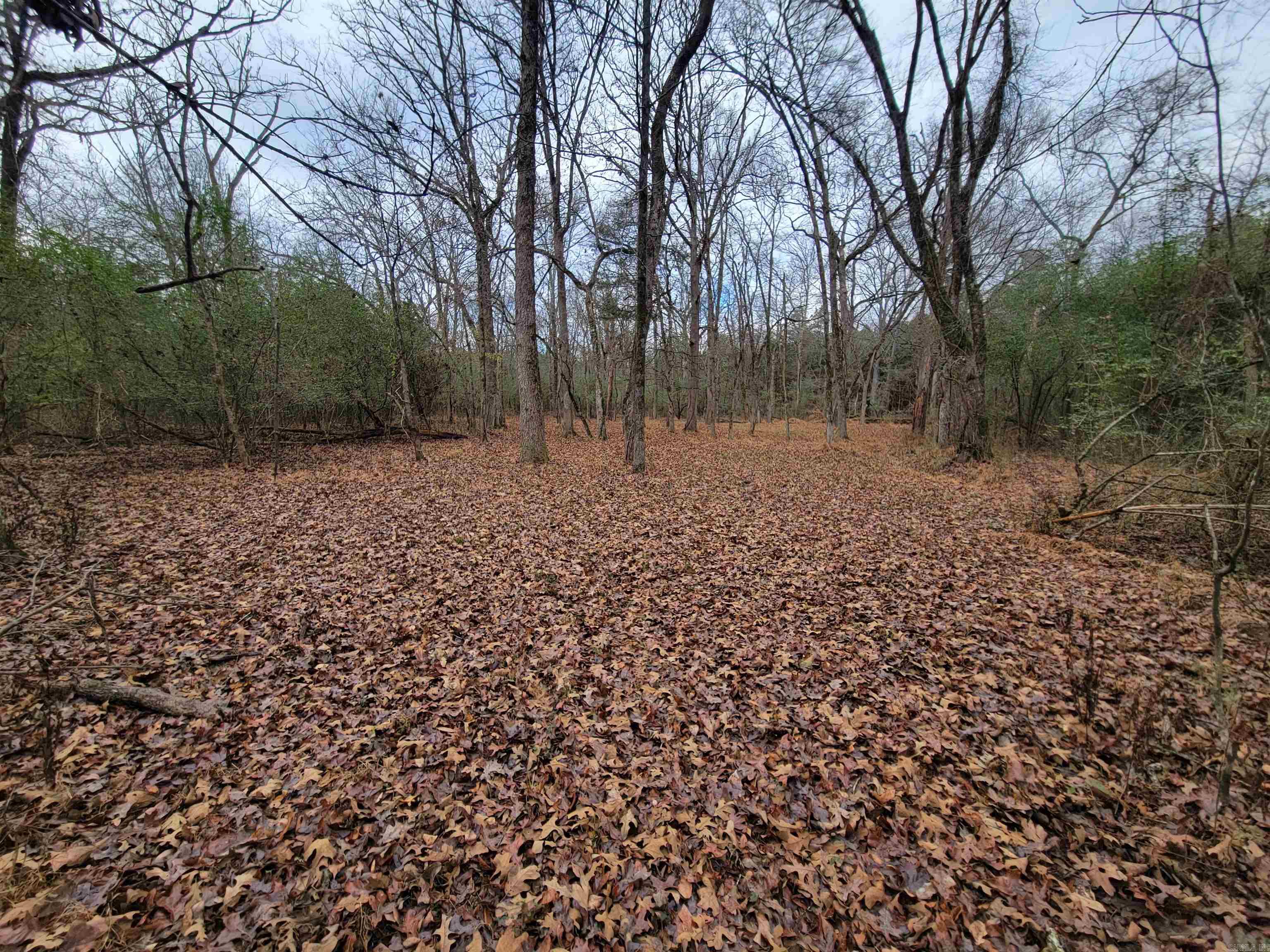 Metes & Bounds - Land