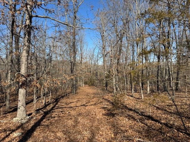 PLEASANT HILLS - Residential