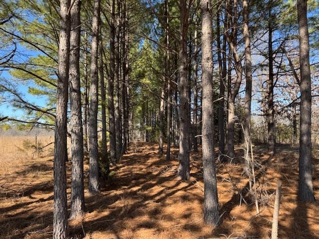 PLEASANT HILLS - Residential