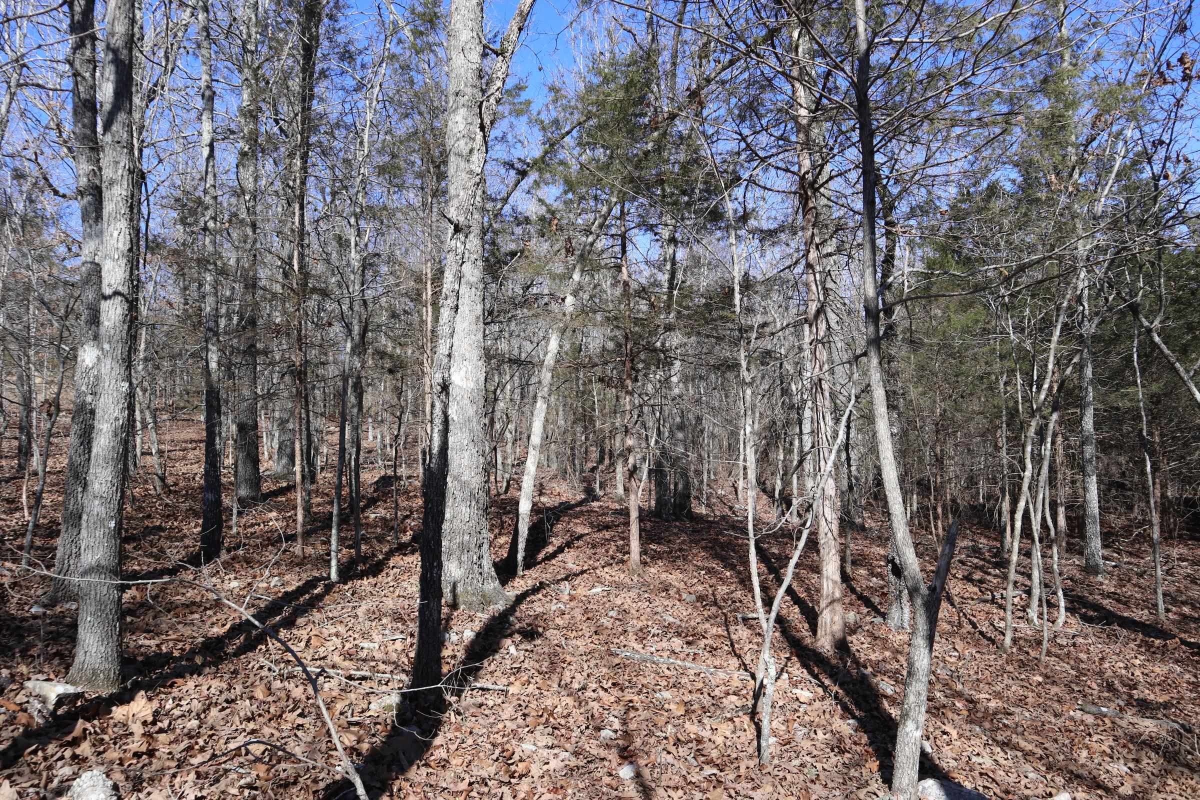 PLEASANT HILLS - Residential