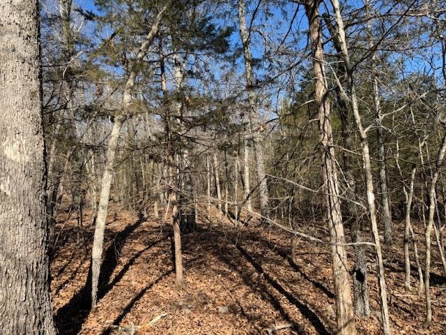 PLEASANT HILLS - Residential