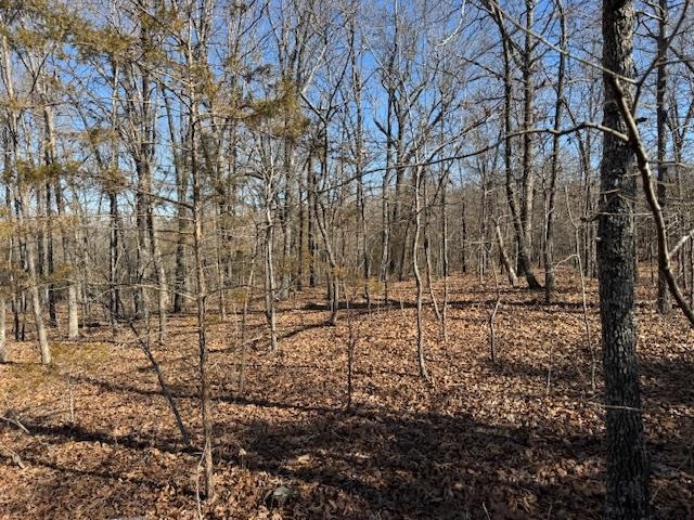 PLEASANT HILLS - Residential