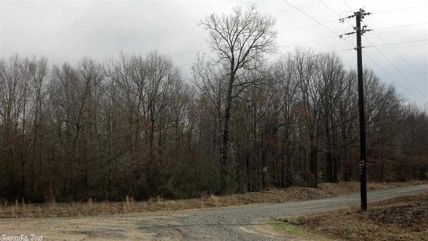 Level timberland for sale surrounded by row crop farmland in agricultural Southeast White County Arkansas Between Griffithville and Bayou Des Arc near Raft Creek and Hurricane WMA public land. Close to great Duck Hunting on public land. Great recreational hunting land for sale with good future return on investment for timber or clearing for tillable acreage or pasture. Laser leveled rice and soybean fields adjoin this property on three sides. Excellent white tail deer hunting with duck hunting and fishing.