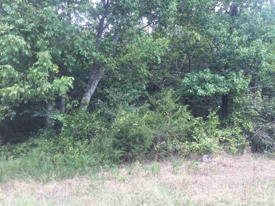 GREAT HUNTING property if you like deer and turkey. This but up to a 160 acre hunting club. Great place for a cabin.  Wooded lot with city water creek at one end. Lots of privacy, close to paved road