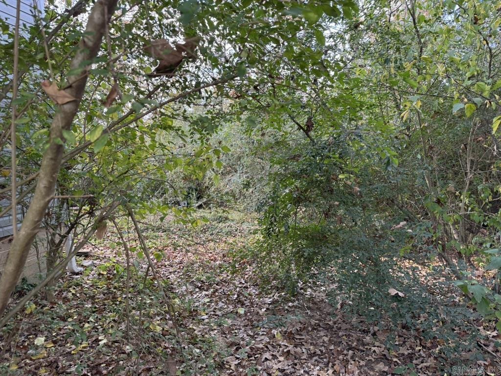 BRIAR PATCH - Residential