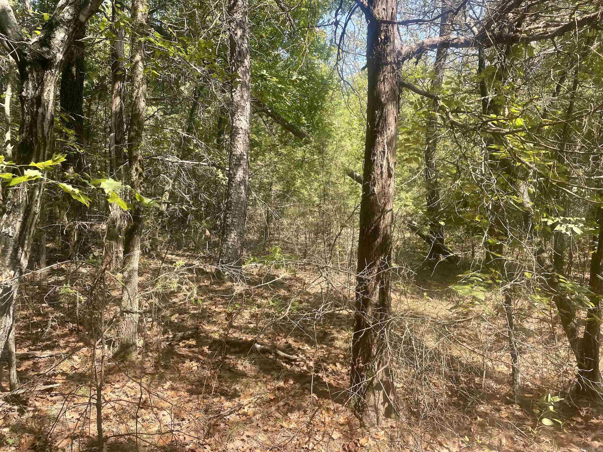 Not in Subdivision - Land