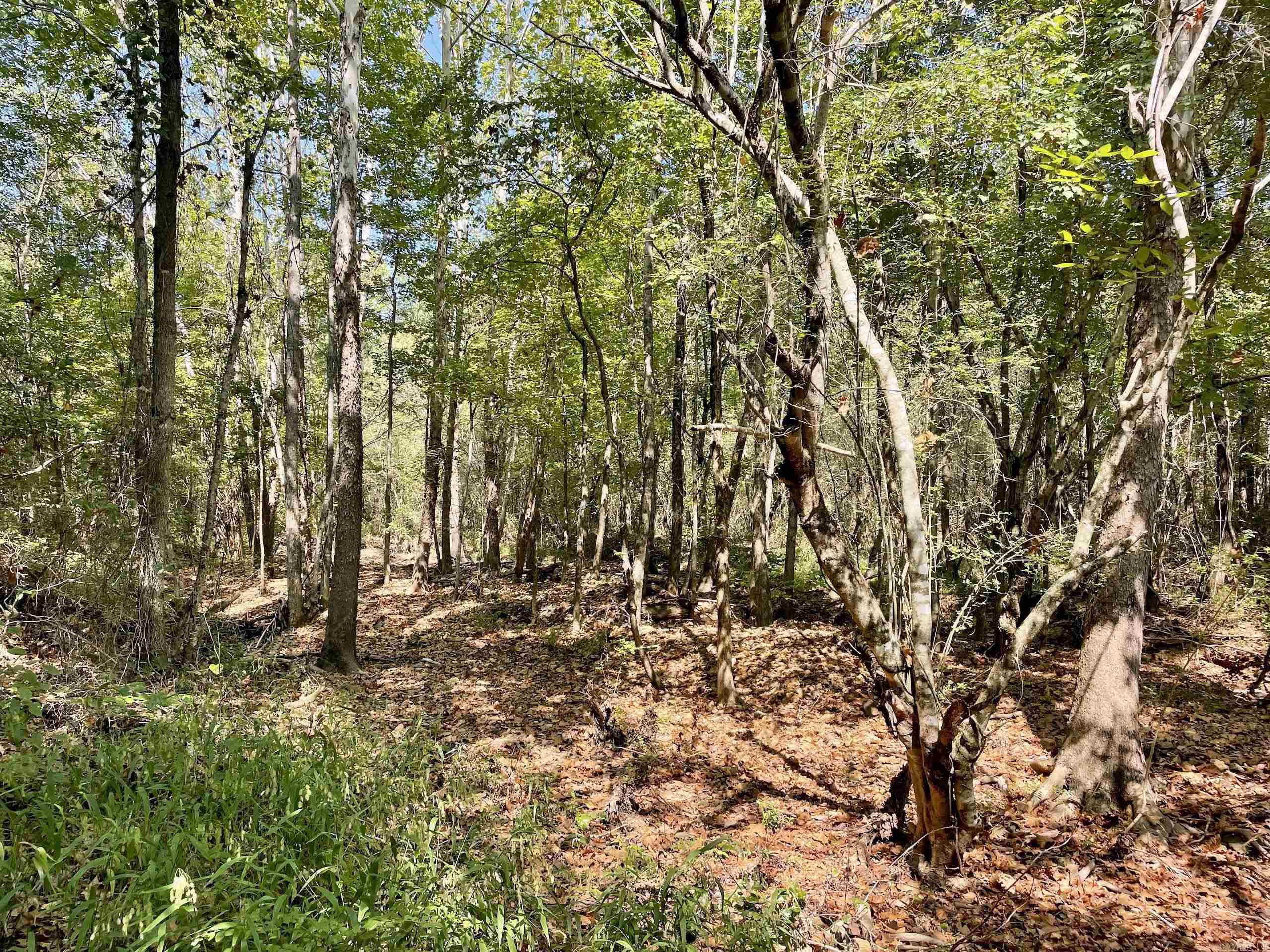 Not in Subdivision - Land