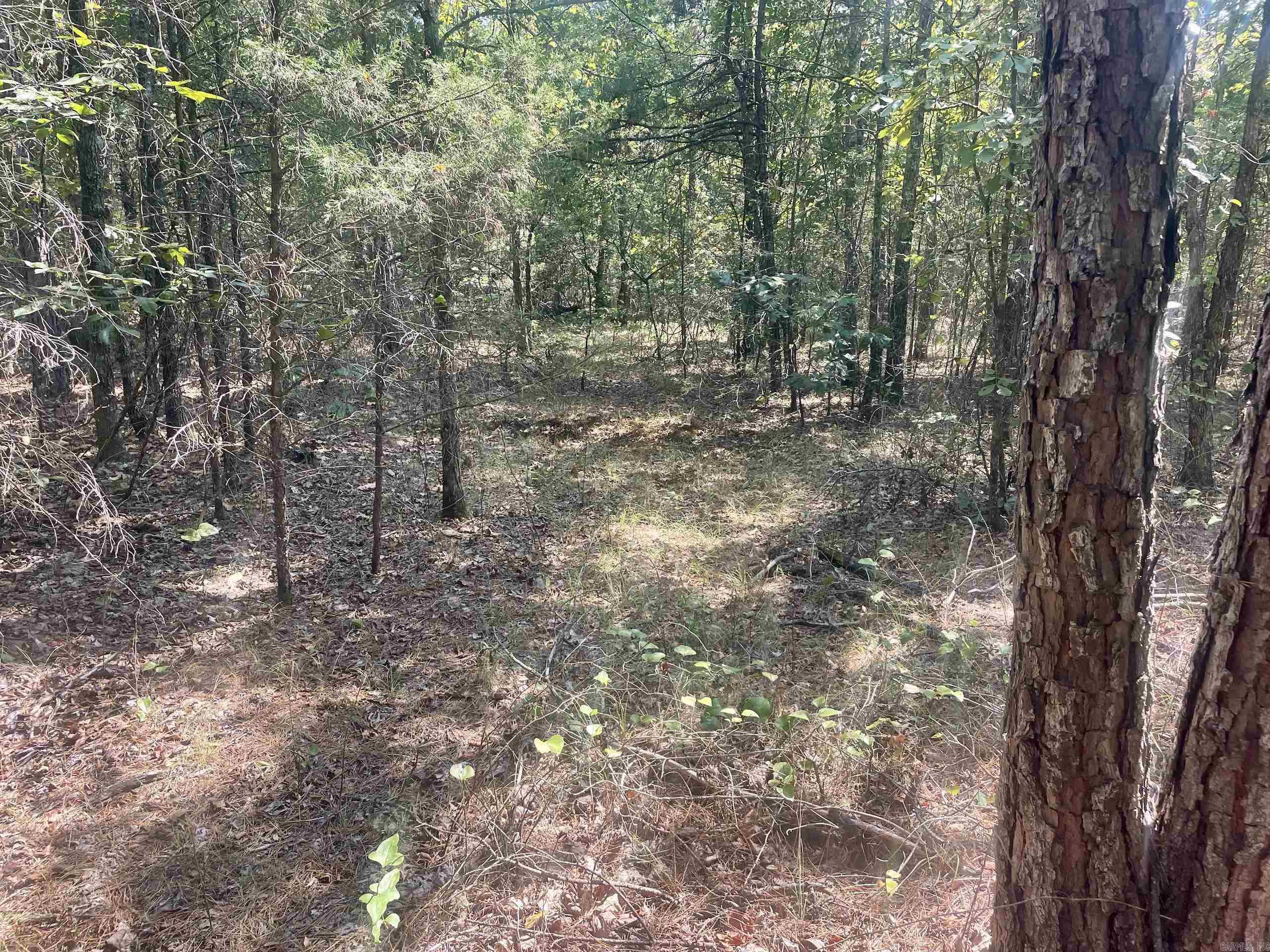 Not in Subdivision - Land