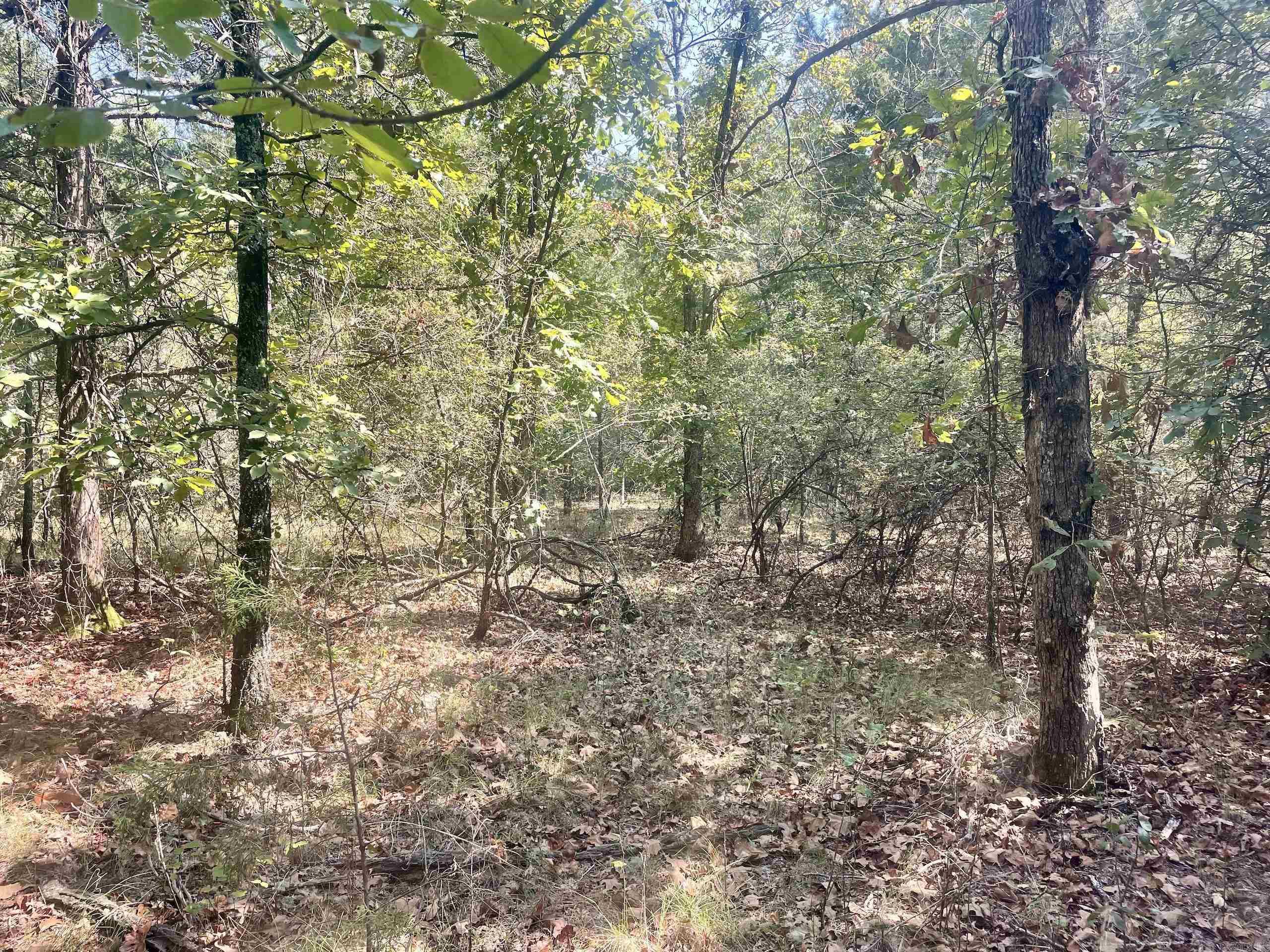 Not in Subdivision - Land