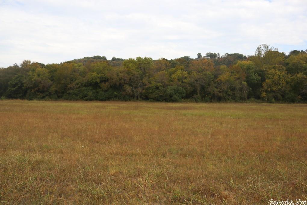 Riverview at Sylamore - Land