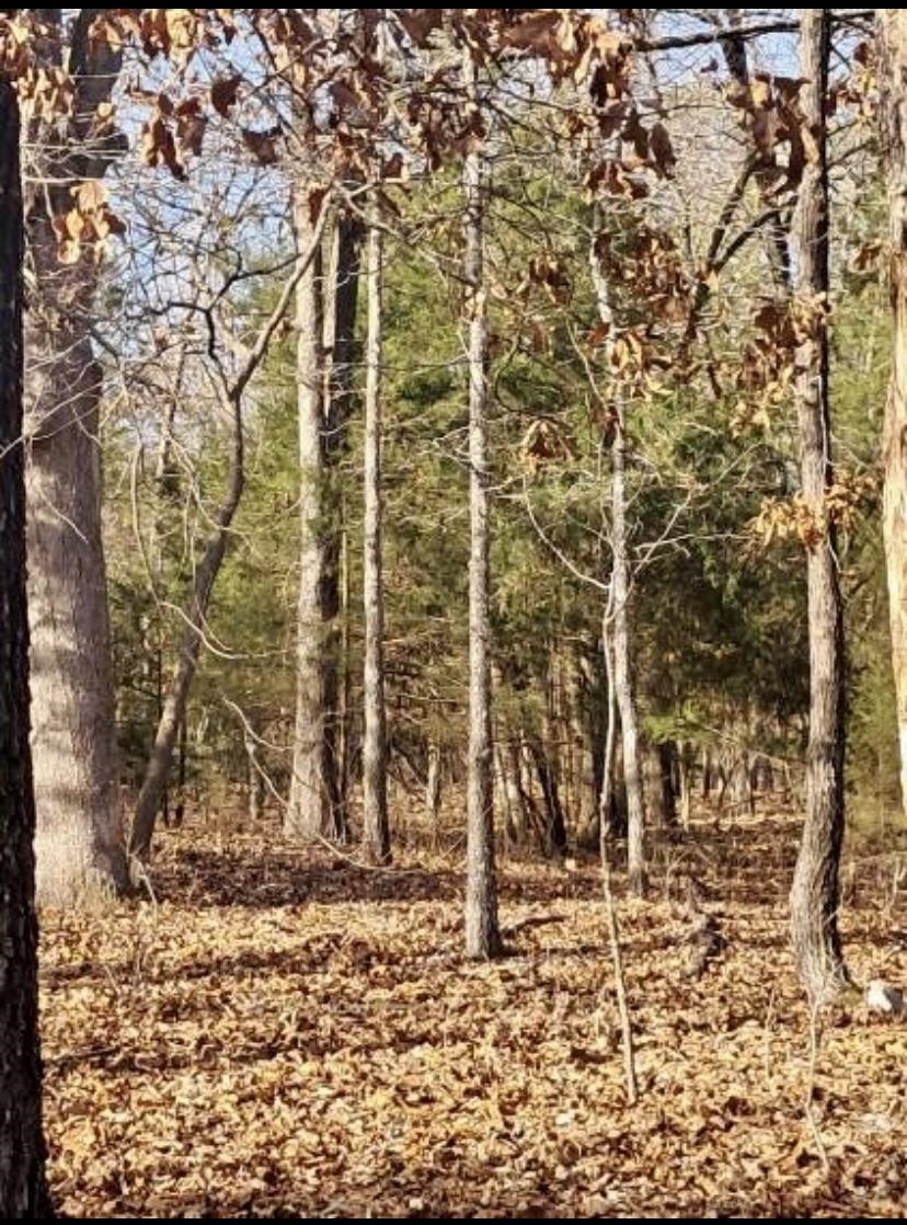 Welcome to the market this beautiful 0.29 +/- acre lot situated across the street from Lake Thunderbird. This property offers beautiful lake views. This property is priced to sell and ready for you to build your new home! This one won't last long so call today to invest in your tomorrow.
