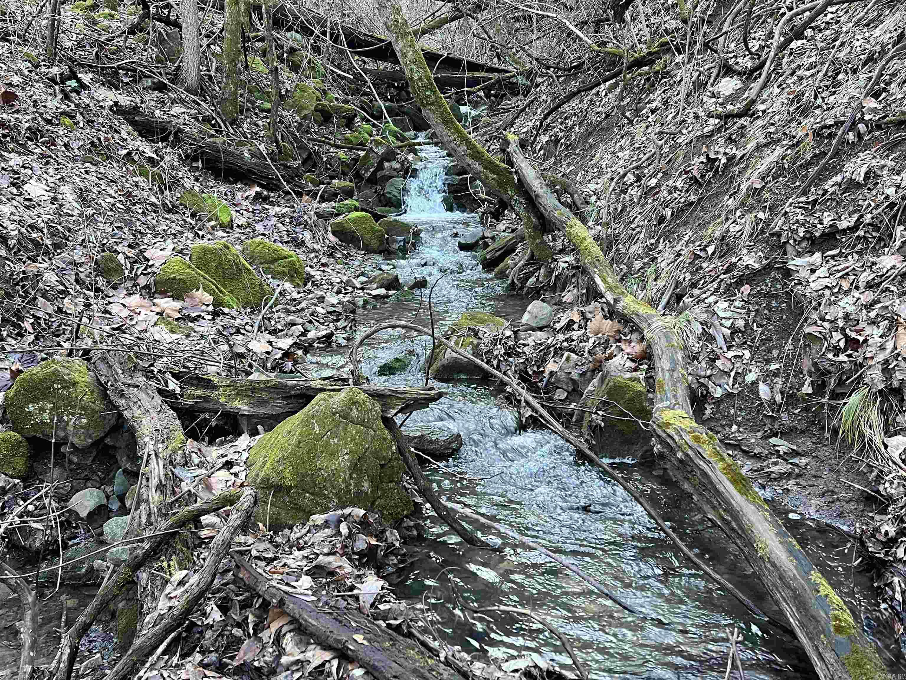 Metes & Bounds - Land