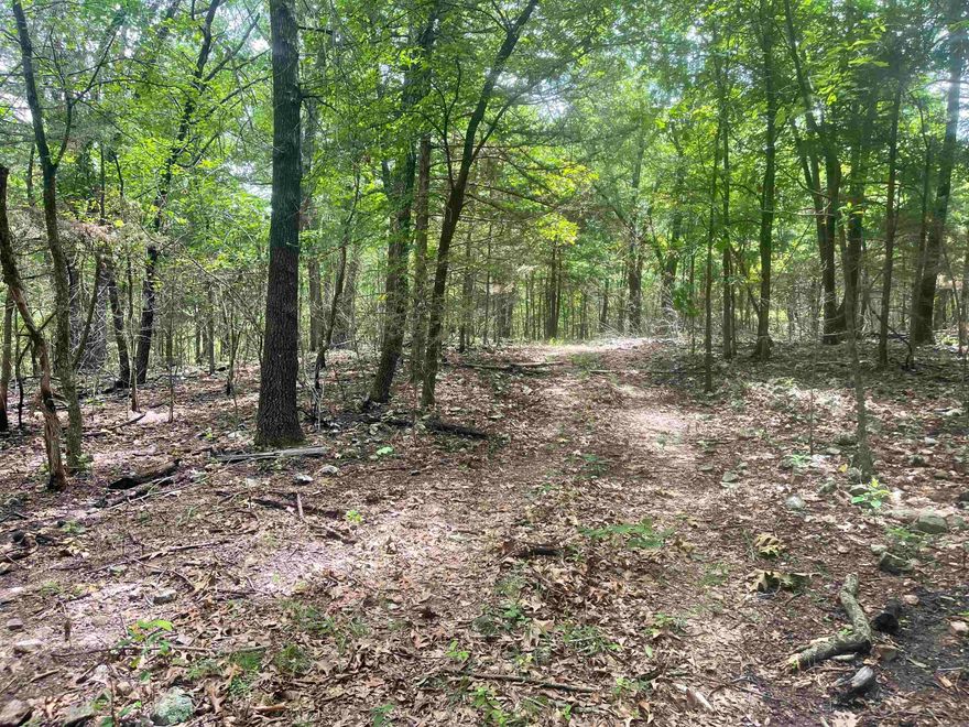 40 acres of wooded recreational land with multiple beautiful sights to build your future home.