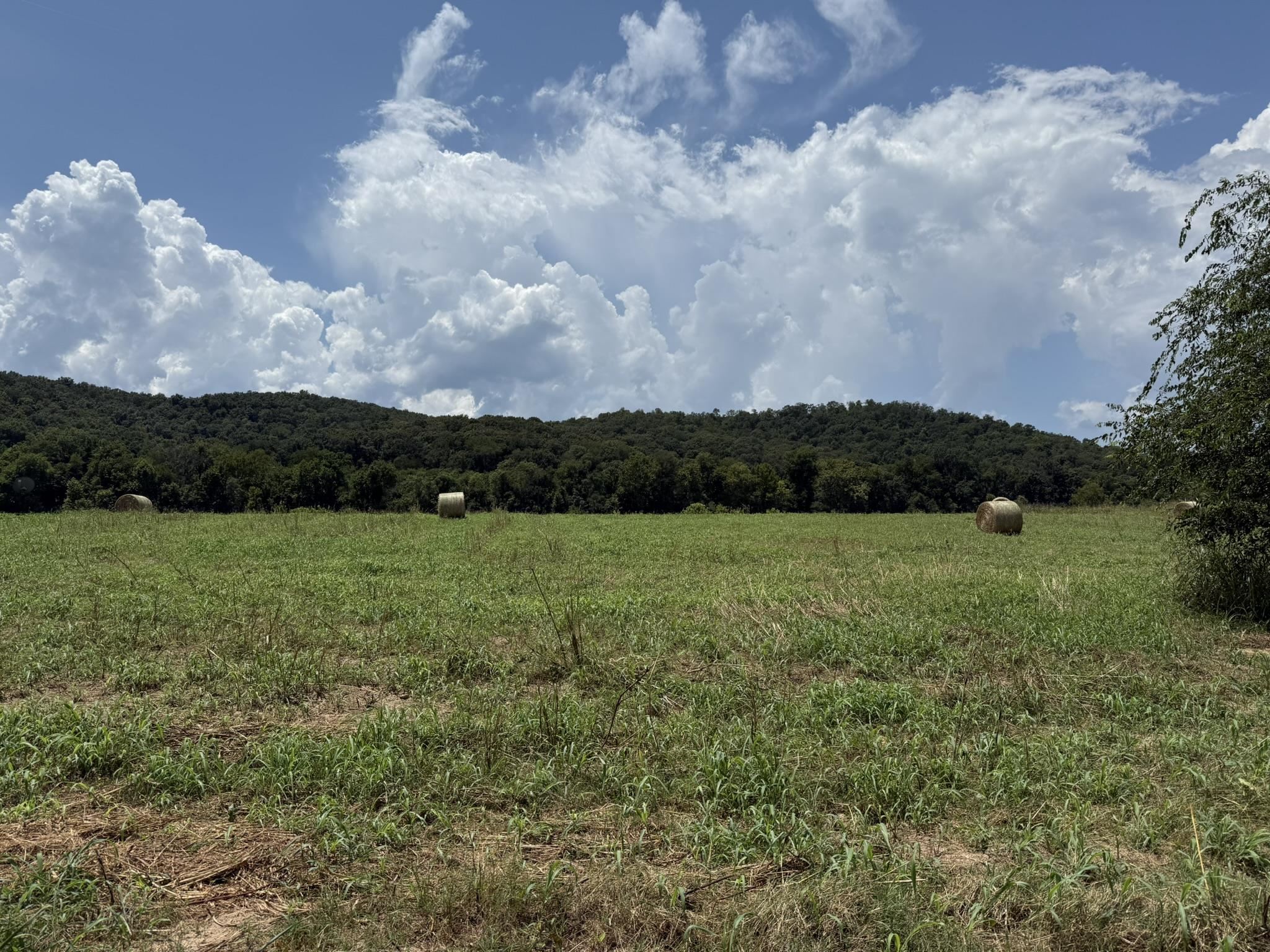 White River Run - Land