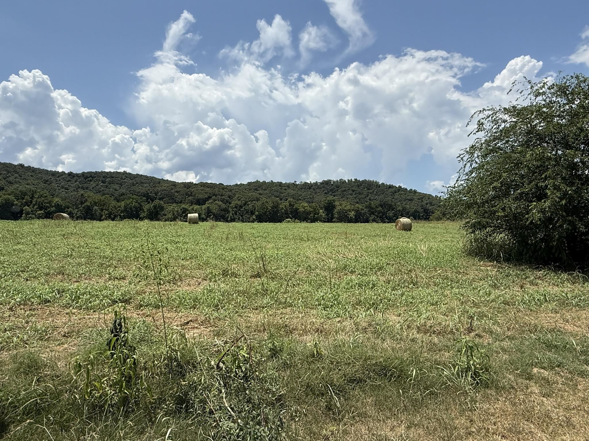 White River Run - Land