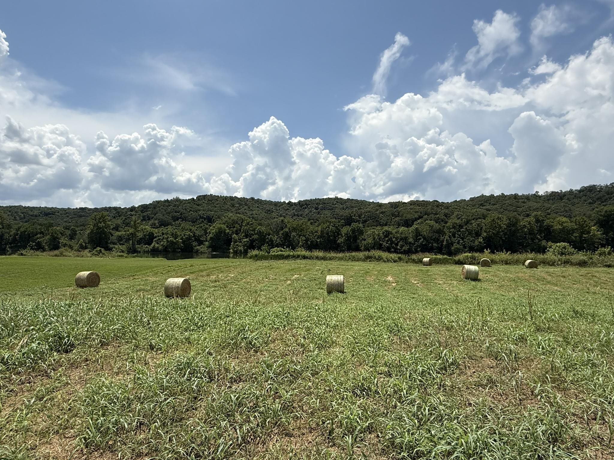 White River Run - Land